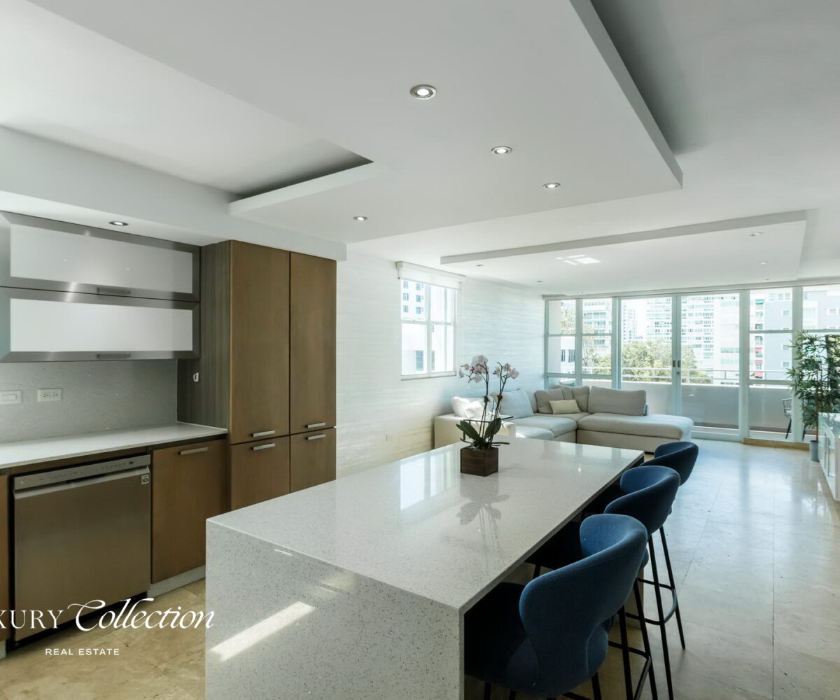 Wilson Condado Plaza penthouse for rent with an open terrace and panoramic views. Two bedrooms, two bathrooms and a roof top terrace.