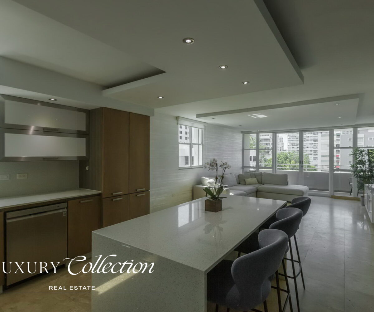 Wilson Condado Plaza penthouse for rent with an open terrace and panoramic views. Two bedrooms, two bathrooms and a roof top terrace.