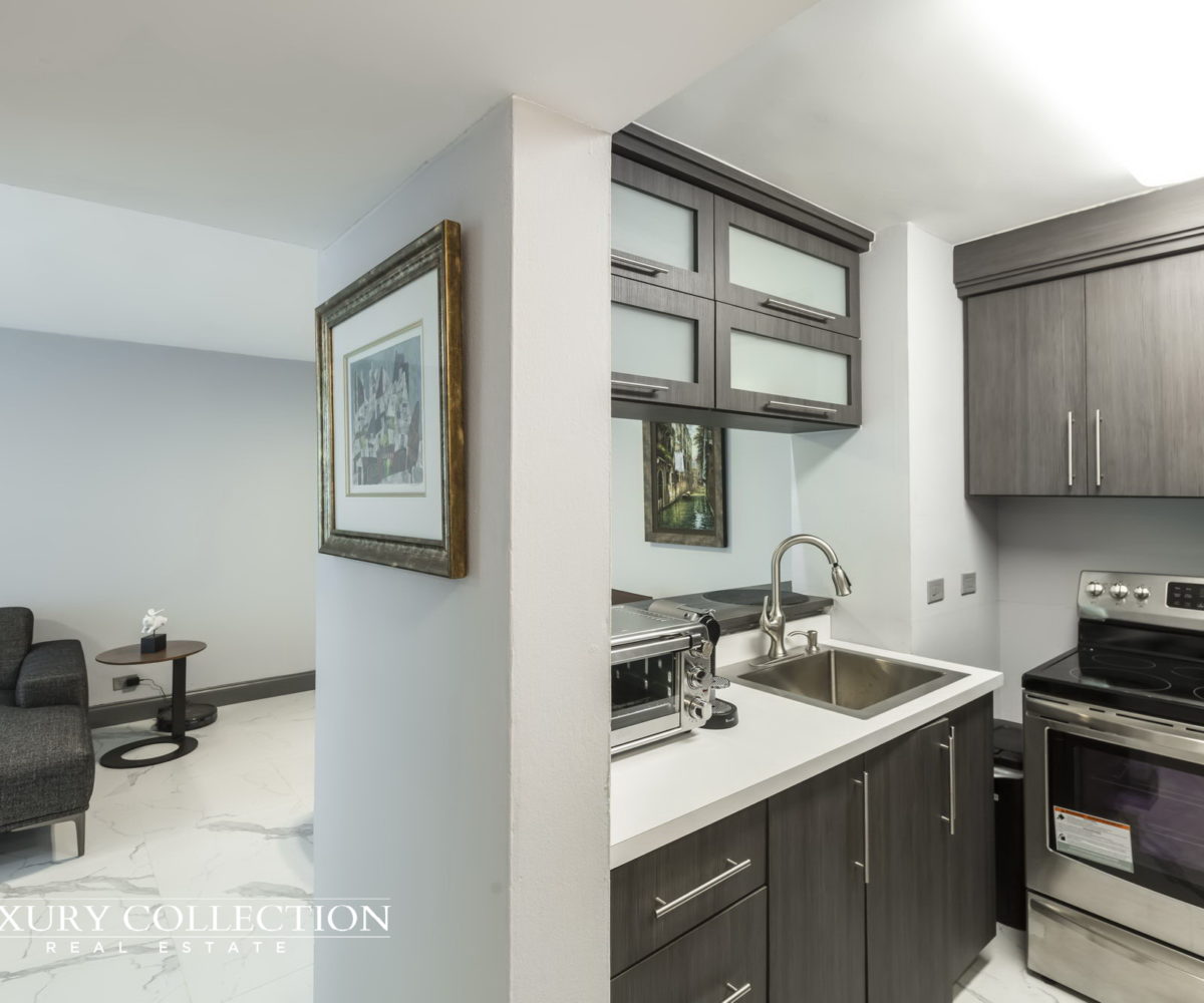Miramar Plaza for rent Remodeled & Furnished luxury collection real estate puerto rico