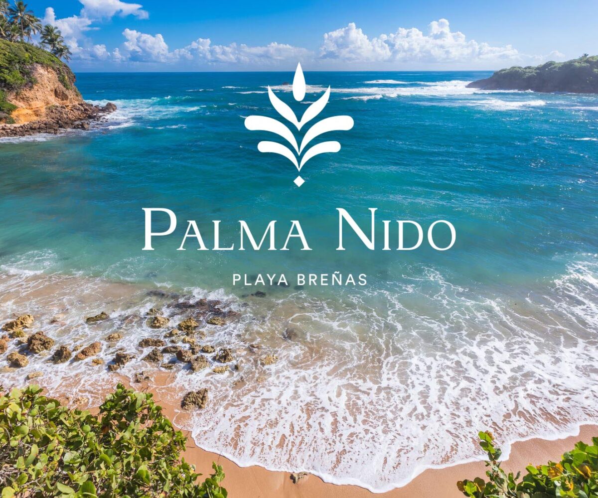 PALMA NIDO Playa Breñas New Development, located next to former Cerromar hotel in Playa Breñas, Vega Alta, Puerto Rico. 48 New Homes, Luxury Collection Real Estate
