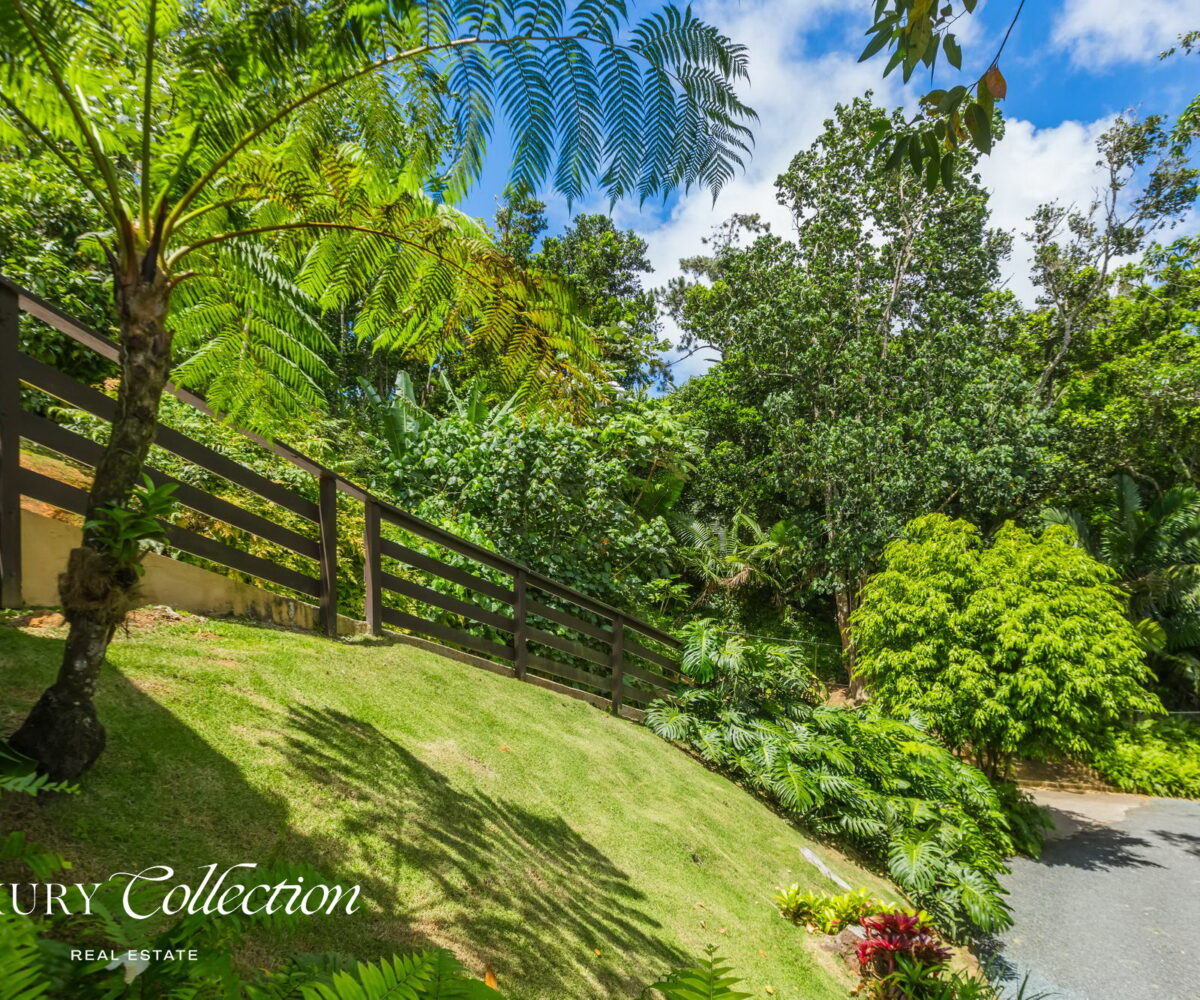 1.5 acres two-story country house in the mountains of Cayey Puerto Rico for sale with 3 bedrooms and 3.5 bathrooms. Lake and mountain views. Luxury Collection Real Estate