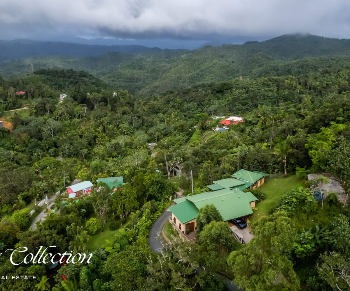 1.5 acres two-story country house in the mountains of Cayey Puerto Rico for sale with 3 bedrooms and 3.5 bathrooms. Lake and mountain views. Luxury Collection Real Estate