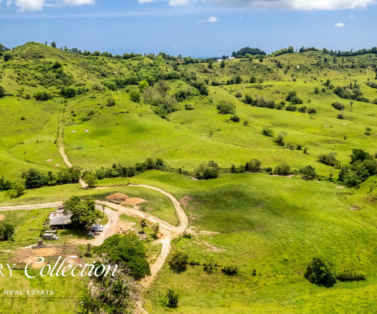 Morovis Puerto Rico agricultural farm with 140 acres for sale. Currently operated as a fully functioning dairy farm.