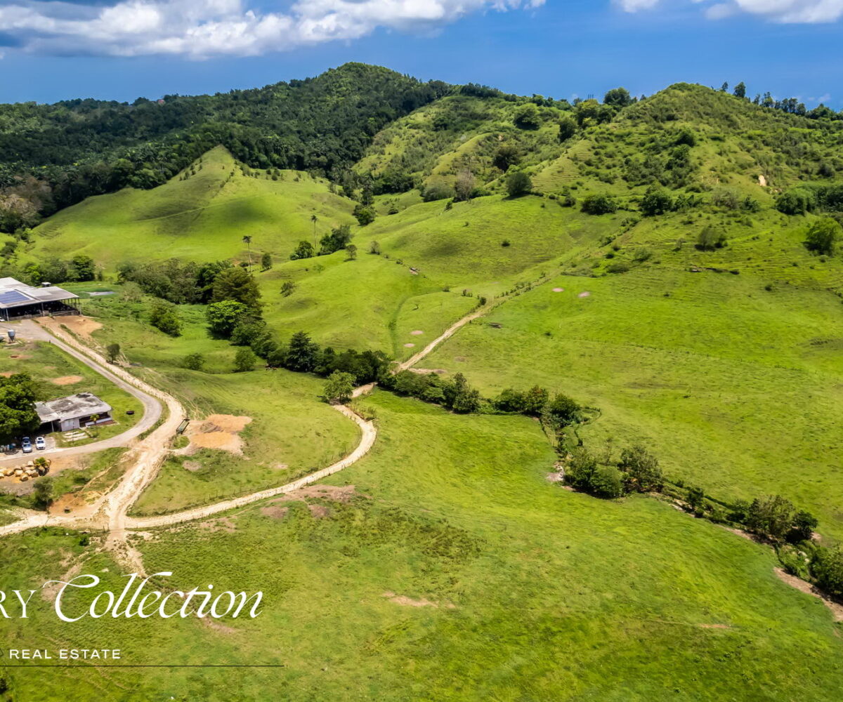 Morovis Puerto Rico agricultural farm with 140 acres for sale. Currently operated as a fully functioning dairy farm.