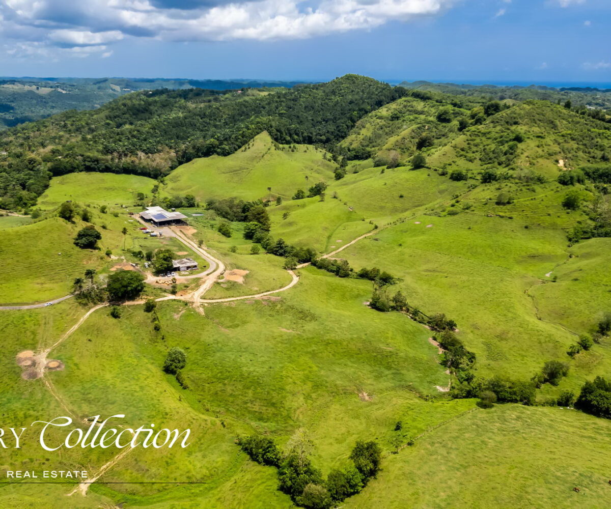 Morovis Puerto Rico agricultural farm with 140 acres for sale. Currently operated as a fully functioning dairy farm.