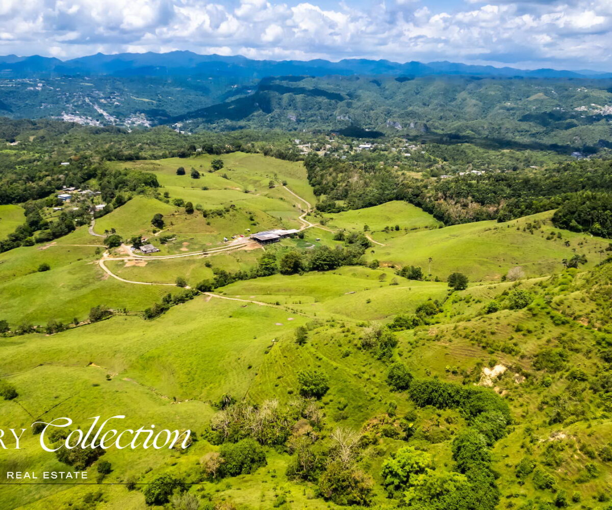 Morovis Puerto Rico agricultural farm with 140 acres for sale. Currently operated as a fully functioning dairy farm.