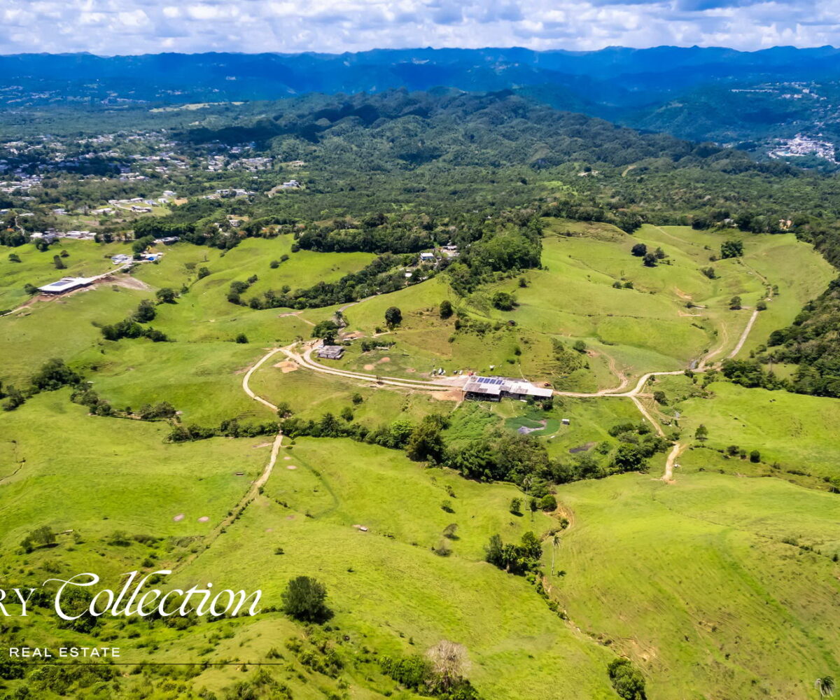 Morovis Puerto Rico agricultural farm with 140 acres for sale. Currently operated as a fully functioning dairy farm.