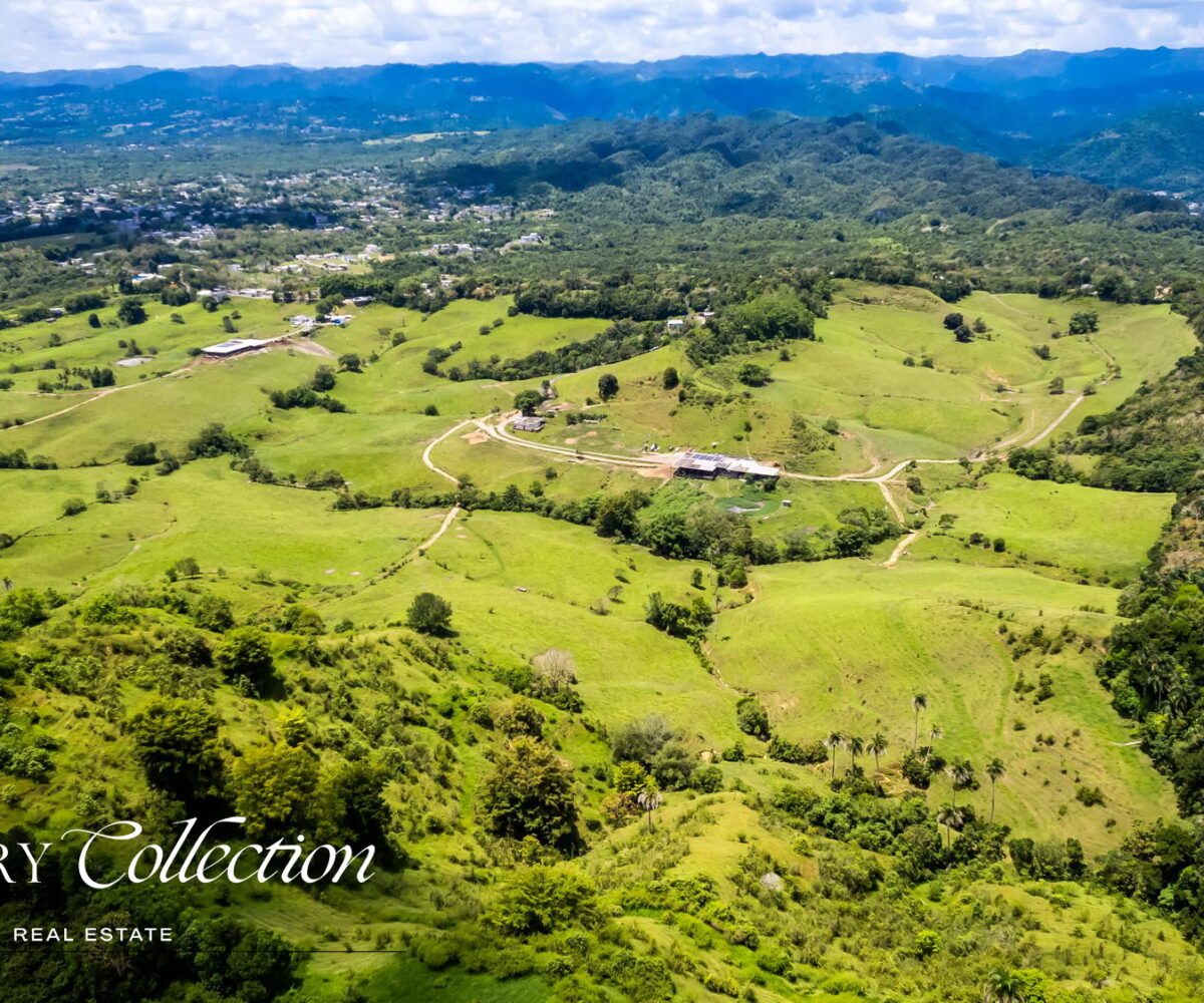 Morovis Puerto Rico agricultural farm with 140 acres for sale. Currently operated as a fully functioning dairy farm.