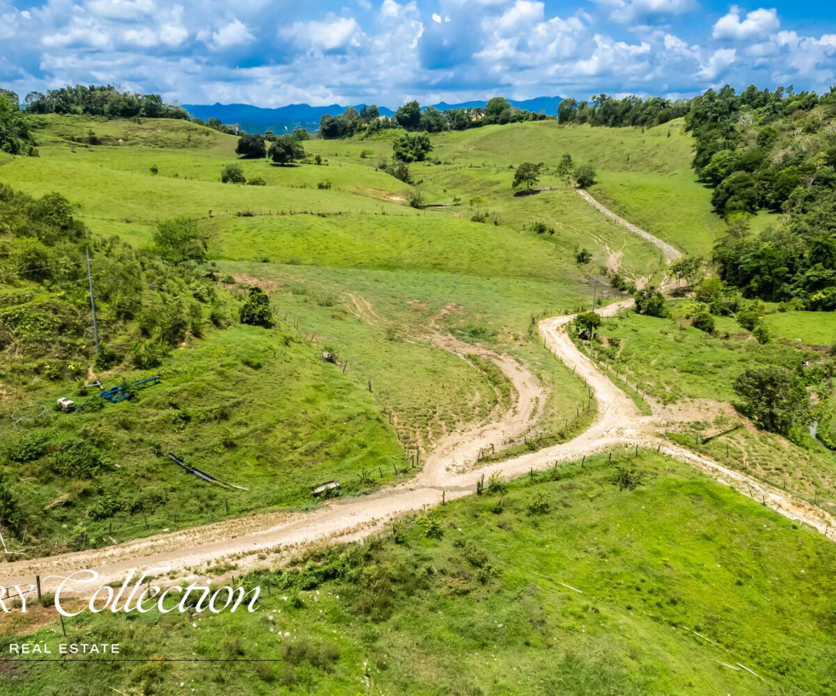 Morovis Puerto Rico agricultural farm with 140 acres for sale. Currently operated as a fully functioning dairy farm.