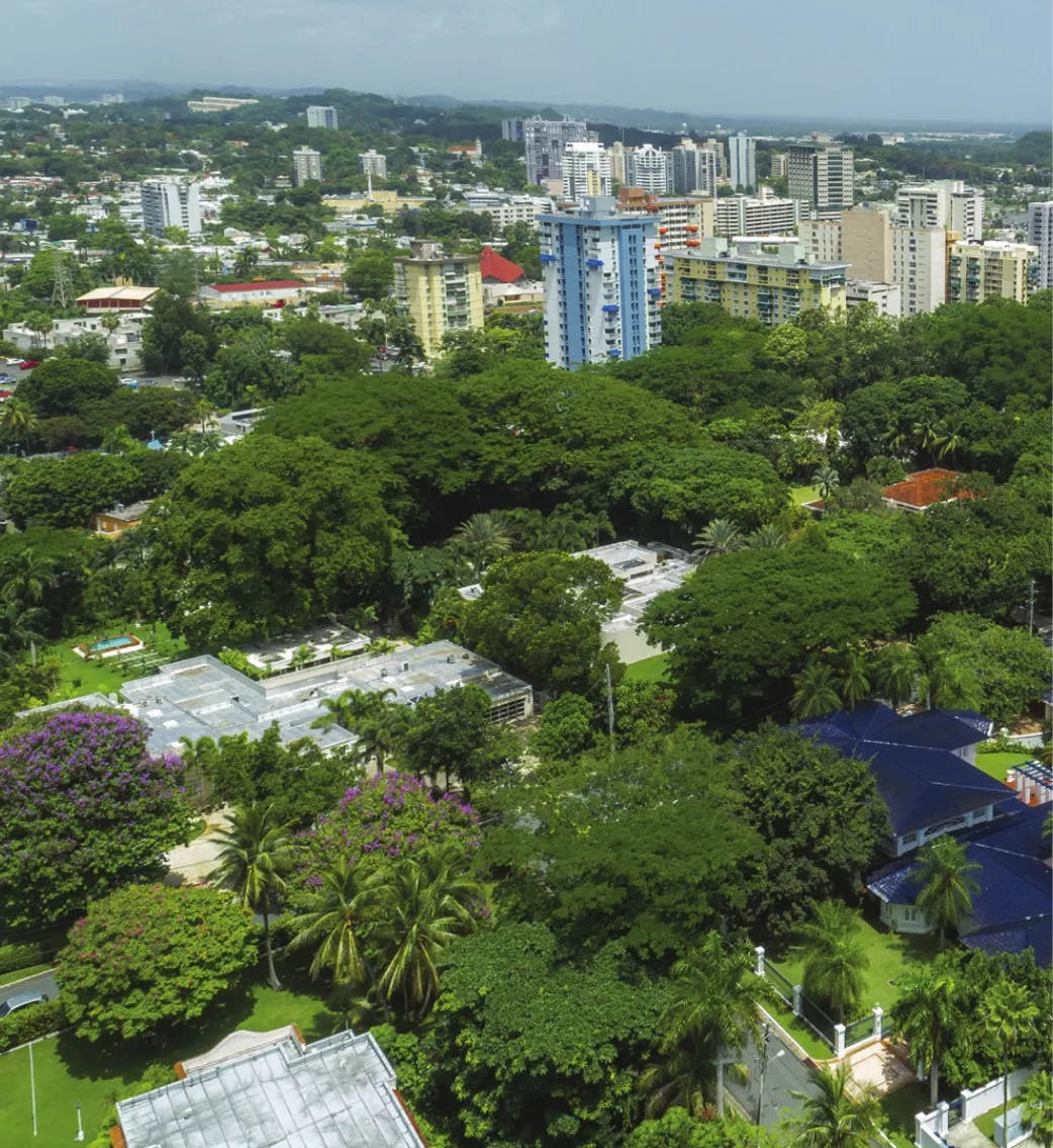 Aerial view of tree-lined residential neighborhoods in Guaynabo, Puerto Rico